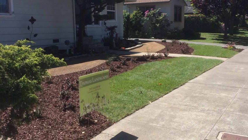 residential lawn services near me
